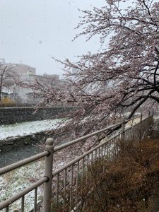 2019年度上期キックオフ、開催！