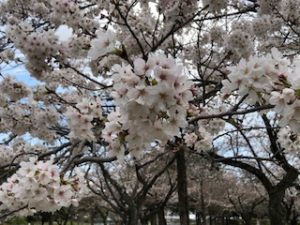 2026年度の新入社員を迎えました